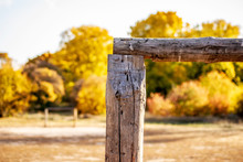 Football Gate Made Of Wood On The Field In The Yellow Autumn Forest.