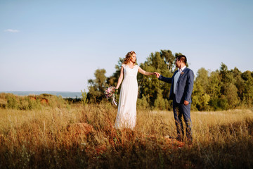 Bride and groom on the background of beautiful nature