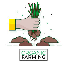 Organic Weeding Icon -  Organic Farming - Editable Stroke