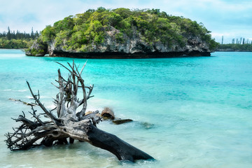 Close up on the small rocky island in the middle of Kanumera Bay with an uprooted tree in the foreground at Isle of Pines, New Caledonia, South Pacific Ocean.