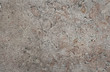 Texture of the stone is brown-gray with cracks, spots.