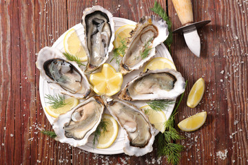 Poster - platter with oyster, dill and lemon