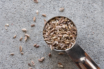 Wall Mural - Dill Seeds Spilled from a Teaspoon