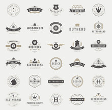 Retro Vintage Logotypes And Badges Set Typopgraphic Design Elements Vector Illustration