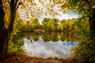 Canvas Print - Autumn sunny landscape with lake and yellow leaves