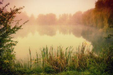 Canvas Print - Beautiful autumn lake in the fog