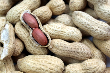 texture of peanuts in shell fresh crop