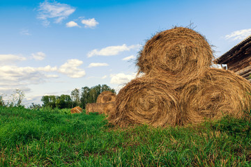 Dry haystacks for feeding animals on green grass and in the open.