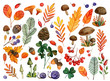 Large Watercolor set of autumn forest elements - leaves, mushrooms, purple snails, viburnum and rosehip berries and others. Autumn set of watercolor illustrations for stickers,  or your own design.