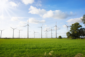 Wind turbines field suggesting renewable energy with green grass background and blue sky concept