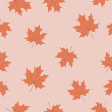The Seamless Pattern With Red Maple Leaves Is On The Pink Background.
