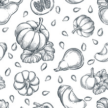 Black White Pumpkins Vector Seamless Pattern. Sketch Hand Drawn Illustration. Autumn Gourd Harvest, Seeds Background.