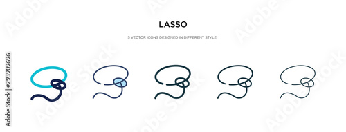 Fotografía lasso icon in different style vector illustration