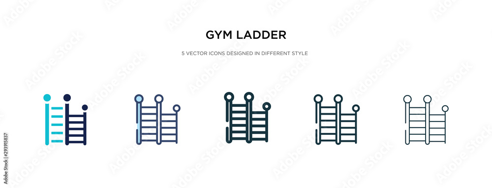 gym ladder icon in different style vector illustration. two colored and ...