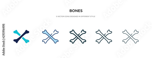 Fotografía bones icon in different style vector illustration
