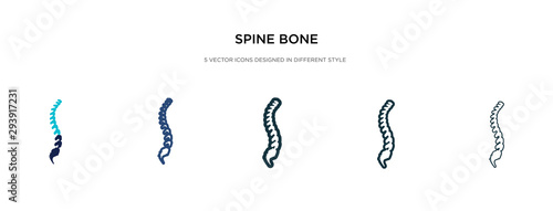 Cuadros en Lienzo spine bone icon in different style vector illustration
