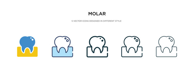 molar icon in different style vector illustration. two colored and black molar vector icons designed in filled, outline, line and stroke style can be used for web, mobile, ui