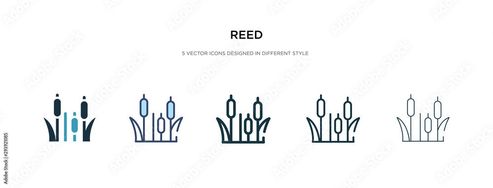 reed icon in different style vector illustration. two colored and black reed vector icons designed in filled, outline, line and stroke style can be used for web, mobile, ui - obrazy, fototapety, plakaty 