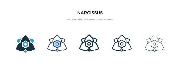 narcissus icon in different style vector illustration. two colored and black narcissus vector icons designed in filled, outline, line and stroke style can be used for web, mobile, ui