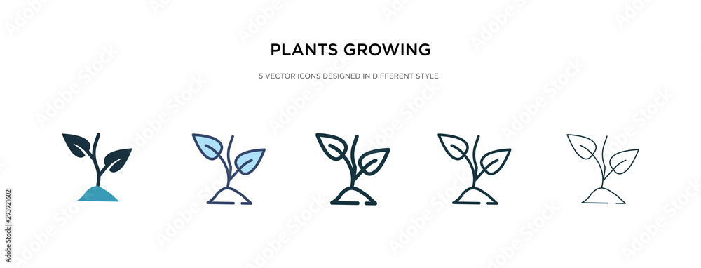 plants growing icon in different style vector illustration. two colored and black plants growing vector icons designed in filled, outline, line and stroke style can be used for web, mobile, ui - obrazy, fototapety, plakaty 