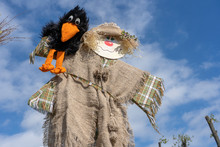 Cute Humanoid Scarecrow Together With A Crow On A Background Of Blue Sky, Ukraine. Close Up
