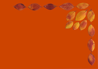 Poster - pan of autumn leaves on a colored background