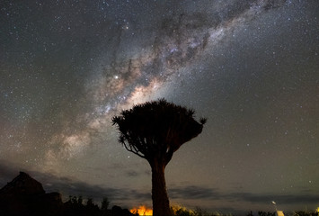 Wall Mural - beautiful night landscape of milky way over quiver trees forest in keetmanshoop, namibia. a popular 