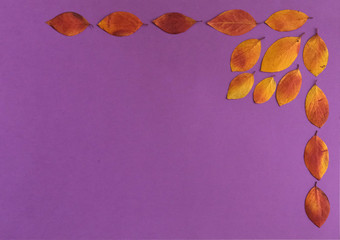 Poster - pan of autumn leaves on a colored background