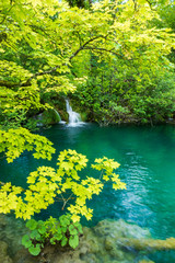  The pure fresh water of a small creek cascades into the azure coloured crystal clear water of a pond at the Plitvice Lakes National Park in Croatia
