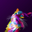 colorful cat pop art portrait vector