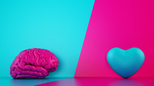 Comparison Between Reason And Feeling. Brain And Heart On A Two Tone Background. 3D Rendering