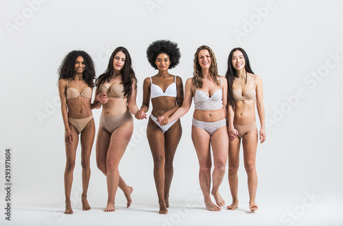 Fotomural Group of women with different body and ethnicity posing together to show the woman power and strength