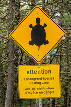 Turtle Crossing Sign In Nova Scotia Canada