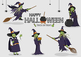Fototapeta Sawanna - collection set of halloween monster costume Witch