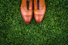Elegant Brown Leather Male Shoes On A Grass Background