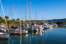 Boat Marina At Port Douglas In The Popular Tourist Destination Of Far North Queensland, Australia.