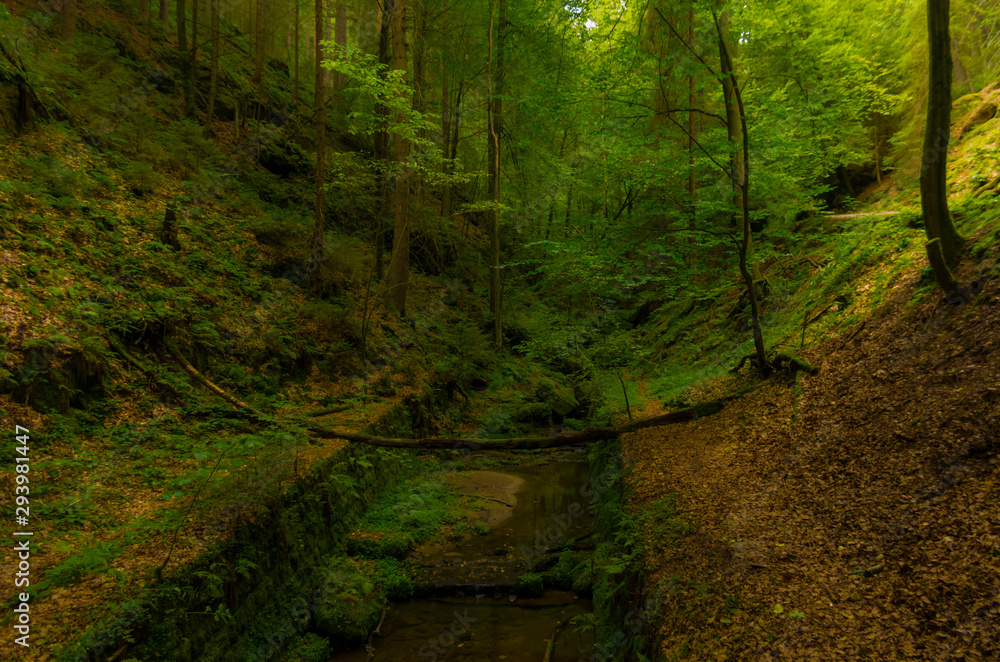 Schwedenlöcher - Saxon Switzerland National Park - Rathen Germany - obrazy, fototapety, plakaty 