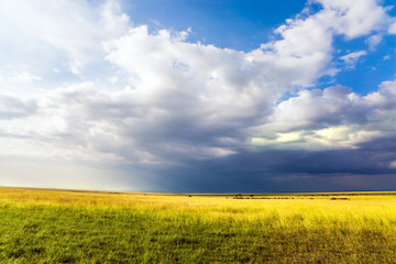 Wall Mural -  Gorgeous cumulus clouds