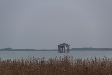 The natural park of Po delta in Italy