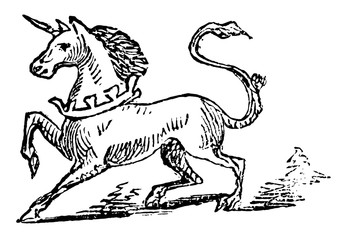 Wall Mural - unicorn, vintage illustration