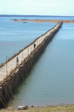 Bamboo Bridge Over The Mekong River Between Kampong Cham City And The Small Island Of Koh Paen, Cambodia