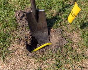 Damaged plastic natural gas line from digging hole in soil in yard with shovel. Yellow buried gas warning flag. Concept of notify utility locating company for underground utilites before digging