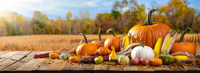 Wall Mural - wooden harvest table with pumpkins corncobs gourds and apples with field trees and sunlight backgrou