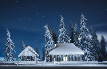 Wall Mural - snow covered trees