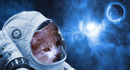 Wall Mural - close up astronaut triping through galaxy universe f