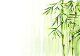 Green bamboo background, Asian rainforest. Watercolor hand drawn  isolated illustration
