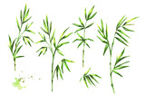 Fototapeta Sypialnia - Green bamboo leaves set. Watercolor hand drawn illustration, isolated on white background