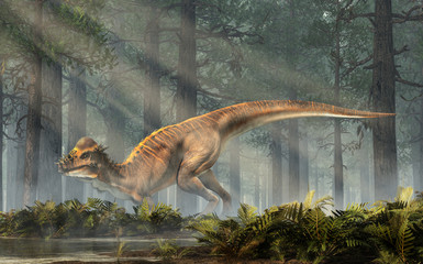 Aufkleber - A brown Pachycephalosaurus in a dense forest. Pachycephalosaurus known for it's thick skull, was an dinosaur of the Cretaceous in North America. 3D Rendering