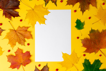 Wall Mural - Flat lay autumn fallen leaves on a yellow background with white blank space for text. Top view autumn concept. fall background.