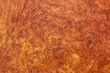 amboyna wood exotic burl strip wallpaper background